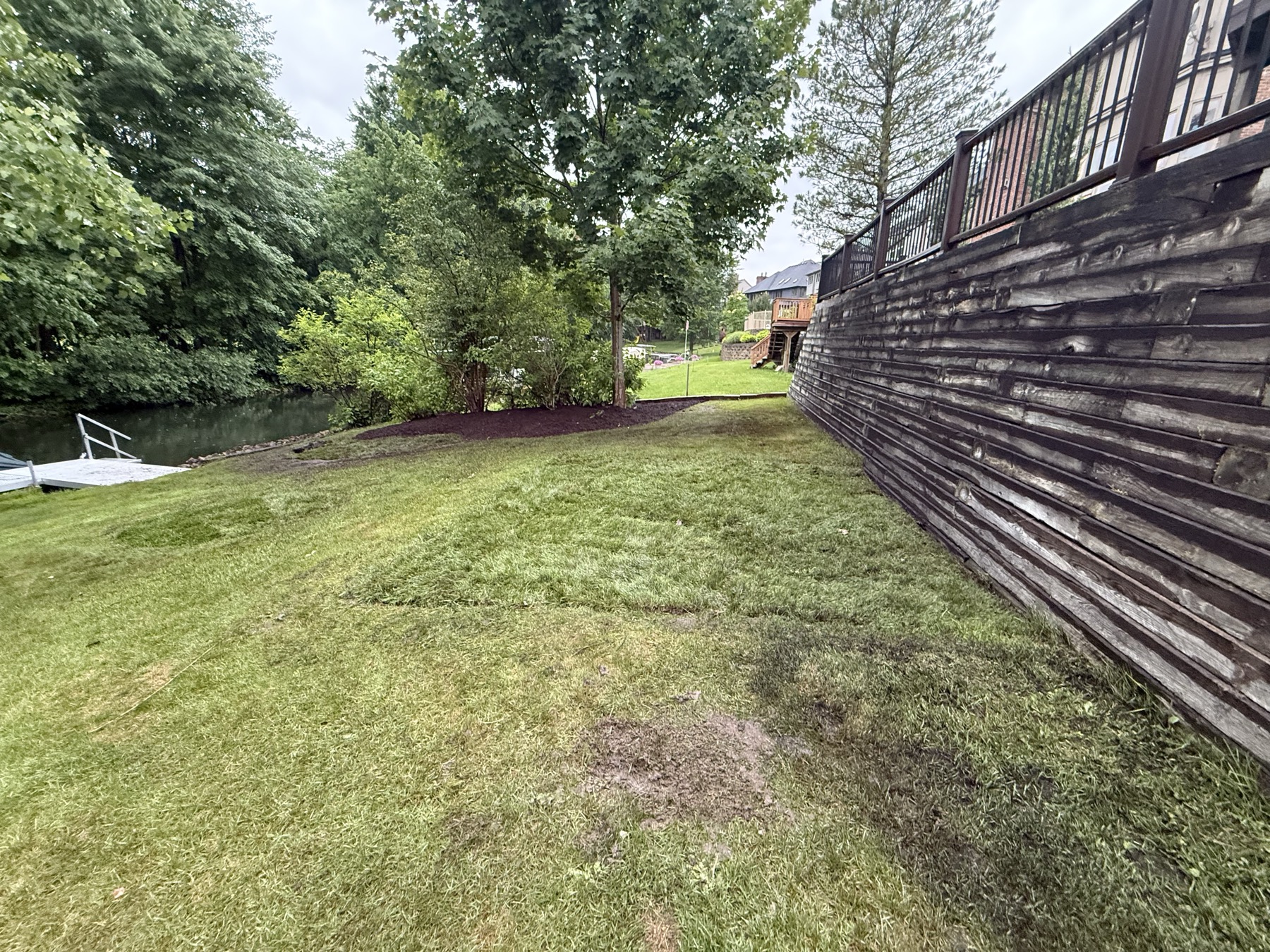Same area cleared, regraded, and covered with fresh sod
